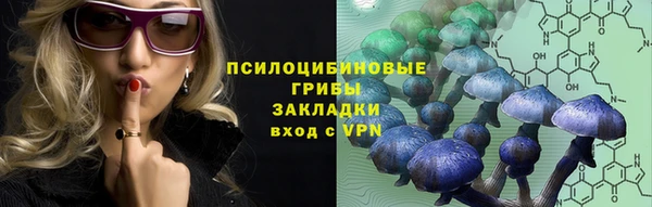 ECSTASY Курчалой