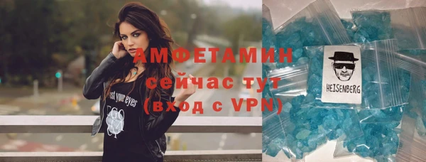 сатива Сатка