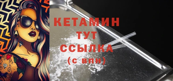 сатива Сатка