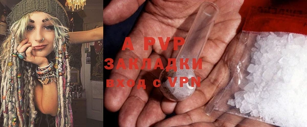 ГАЛЛЮЦИНОГЕННЫЕ ГРИБЫ Семёнов
