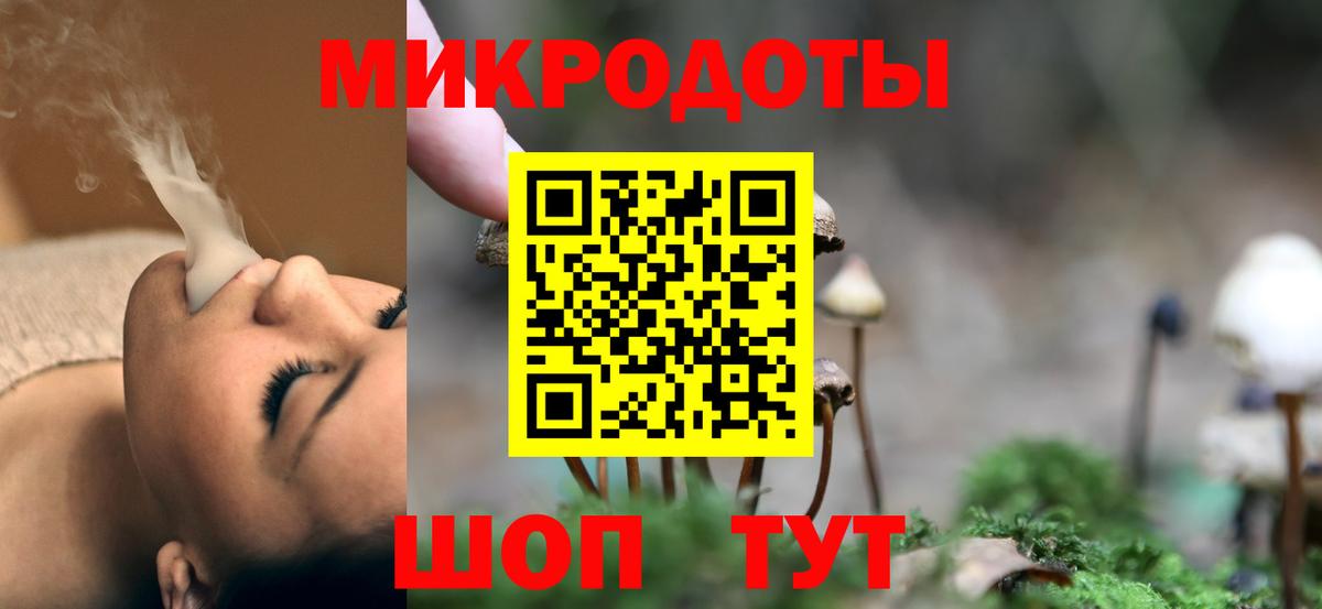Галлюциногенные грибы GOLDEN TEACHER  купить наркотик  Красноармейск  Вход с VPN 