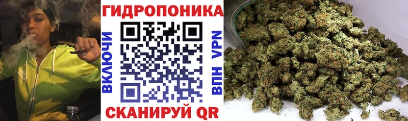 купить наркотики цена Красноармейск Бошки марихуана конопля